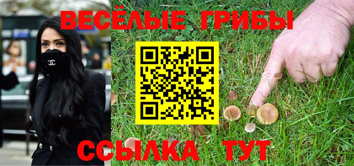 Галлюциногенные грибы прущие грибы  Галлюциногенные грибы GOLDEN TEACHER  где купить наркоту  Всеволожск  Вход с VPN 